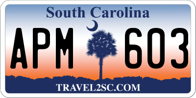 SC license plate APM603