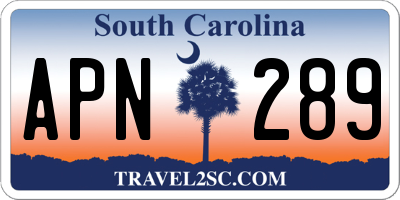 SC license plate APN289