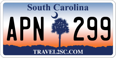 SC license plate APN299