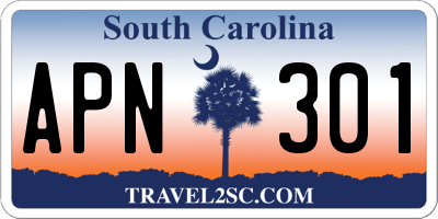 SC license plate APN301