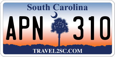 SC license plate APN310