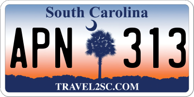 SC license plate APN313