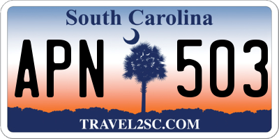 SC license plate APN503