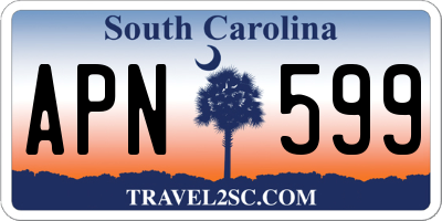 SC license plate APN599