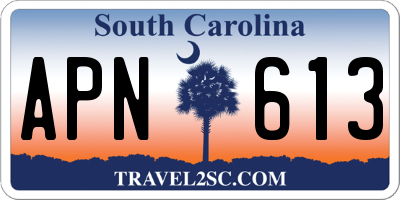 SC license plate APN613