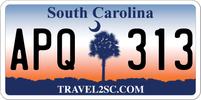 SC license plate APQ313