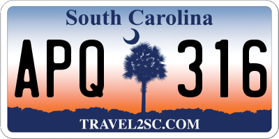 SC license plate APQ316
