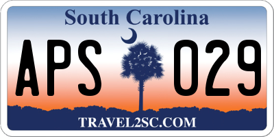 SC license plate APS029