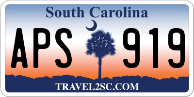 SC license plate APS919