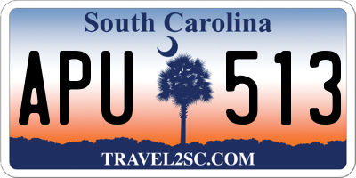 SC license plate APU513