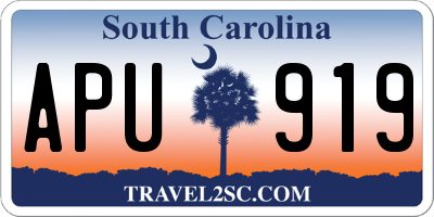 SC license plate APU919