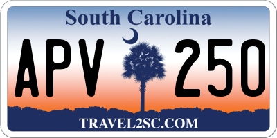 SC license plate APV250