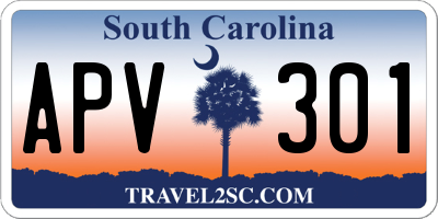 SC license plate APV301