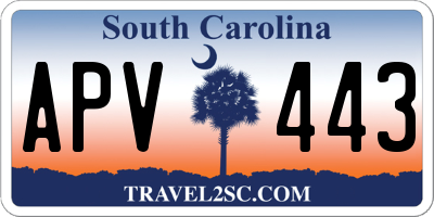 SC license plate APV443