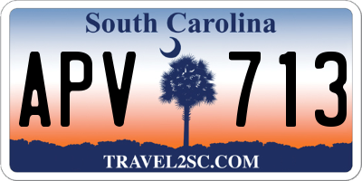 SC license plate APV713