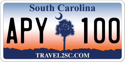 SC license plate APY100