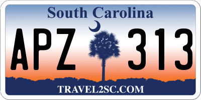 SC license plate APZ313