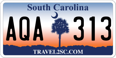 SC license plate AQA313