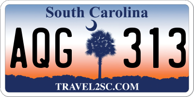 SC license plate AQG313