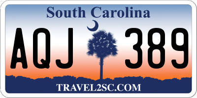 SC license plate AQJ389