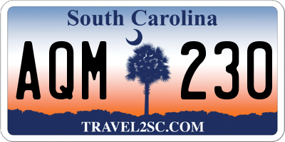 SC license plate AQM230