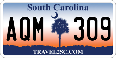 SC license plate AQM309