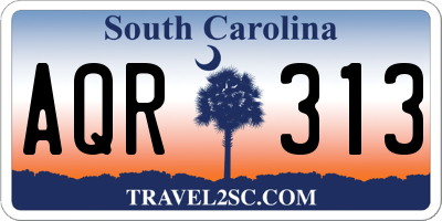 SC license plate AQR313