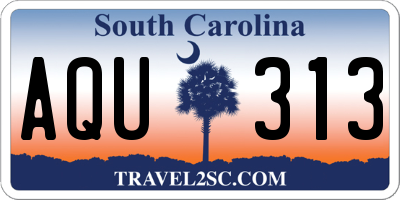 SC license plate AQU313