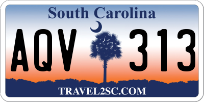 SC license plate AQV313