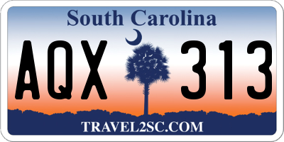 SC license plate AQX313