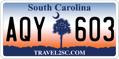 SC license plate AQY603
