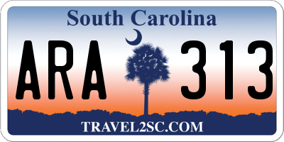 SC license plate ARA313
