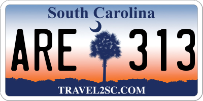 SC license plate ARE313
