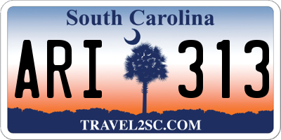 SC license plate ARI313