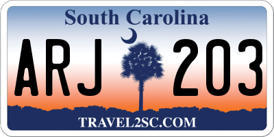 SC license plate ARJ203