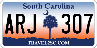 SC license plate ARJ307