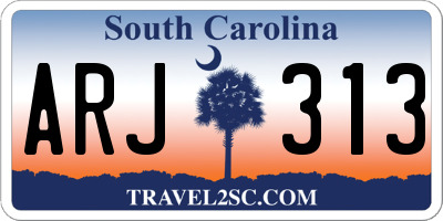 SC license plate ARJ313