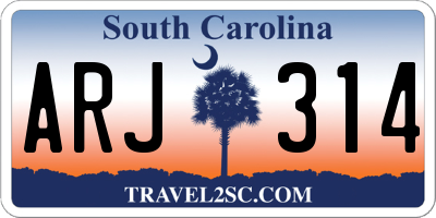 SC license plate ARJ314