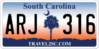 SC license plate ARJ316