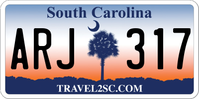 SC license plate ARJ317