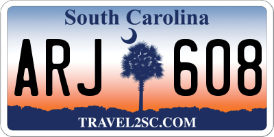 SC license plate ARJ608