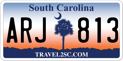 SC license plate ARJ813