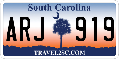 SC license plate ARJ919
