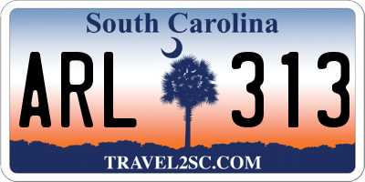 SC license plate ARL313