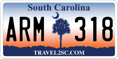 SC license plate ARM318