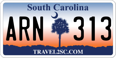 SC license plate ARN313