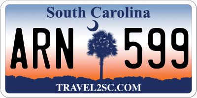 SC license plate ARN599
