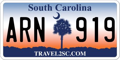 SC license plate ARN919
