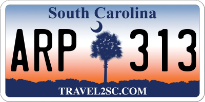 SC license plate ARP313