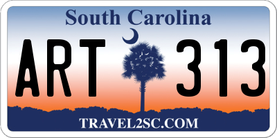 SC license plate ART313
